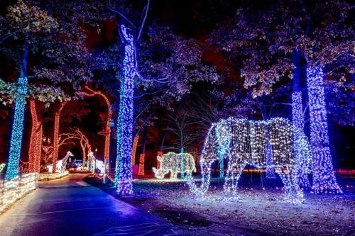 A festive display of colorful lights shaped like elephants and trees along a pathway at night.