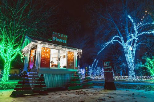 A cozy s'mores stand illuminated by colorful lights, surrounded by trees adorned with festive decorations at night.
