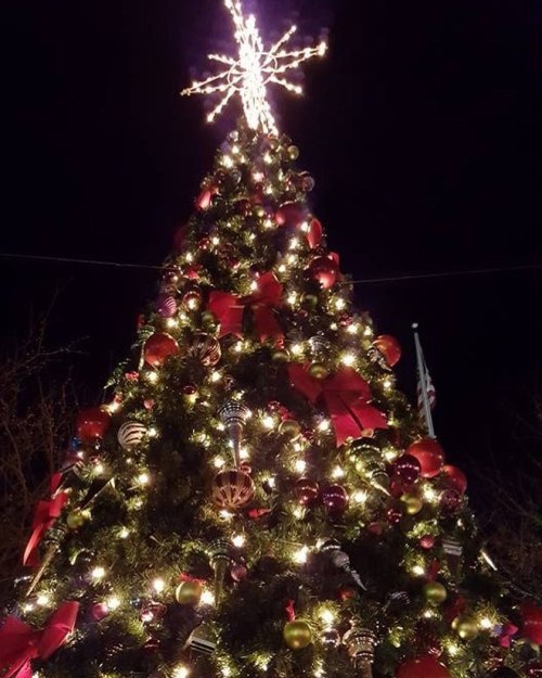 A beautifully decorated Christmas tree with lights, ornaments, and a star on top, set against a night sky.