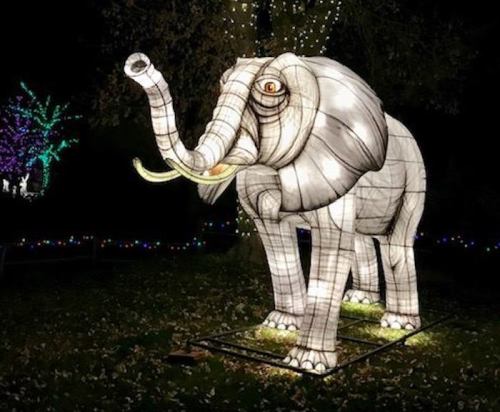 A large illuminated elephant sculpture stands in a dark setting, surrounded by colorful holiday lights.