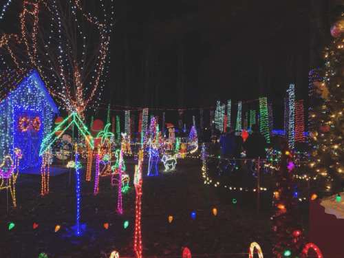 A vibrant display of colorful holiday lights illuminating a festive outdoor scene with trees and decorations.