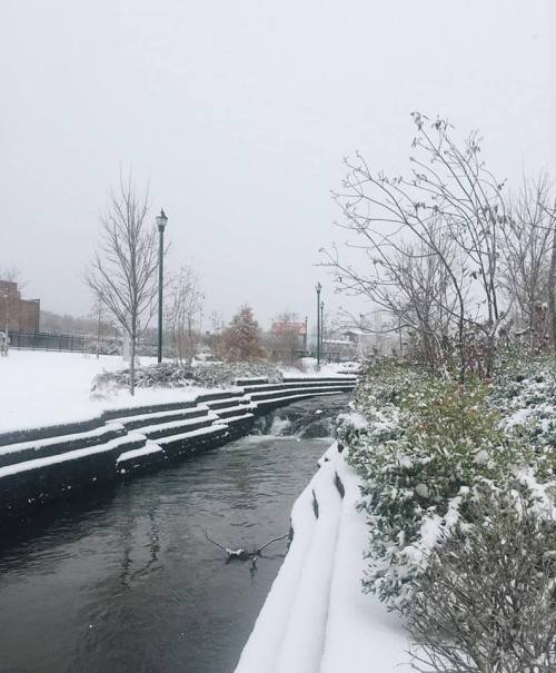 A snowy landscape featuring a small stream, lined with trees and shrubs, under a gray sky.