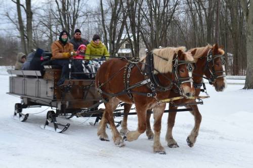 A horse-drawn sleigh carries passengers through a snowy landscape, surrounded by bare trees.