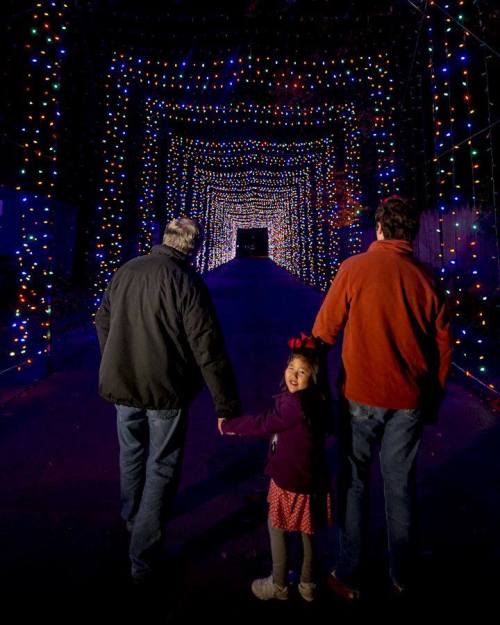 A child holds hands with two adults, walking through a tunnel of colorful holiday lights.