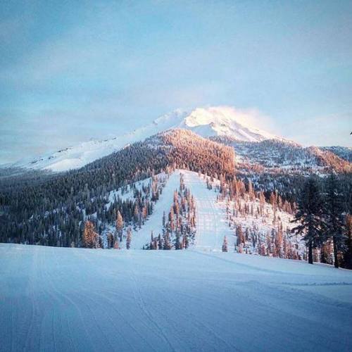 Snow-covered mountain landscape with ski slopes and evergreen trees under a clear sky.