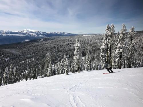 A skier descends a snowy slope surrounded by tall, snow-covered trees and distant mountains under a clear blue sky.
