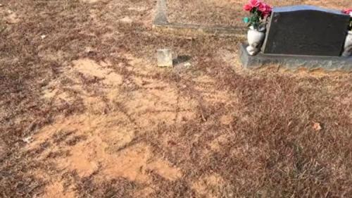 A cemetery scene showing a grave marker surrounded by dry, brown grass and decorative flowers.