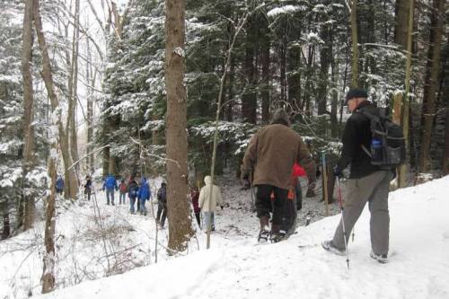 A group of people hiking through a snowy forest, surrounded by tall trees and a winter landscape.