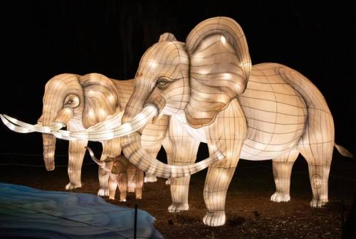 Three illuminated elephant lanterns by a water source, showcasing intricate designs against a dark background.