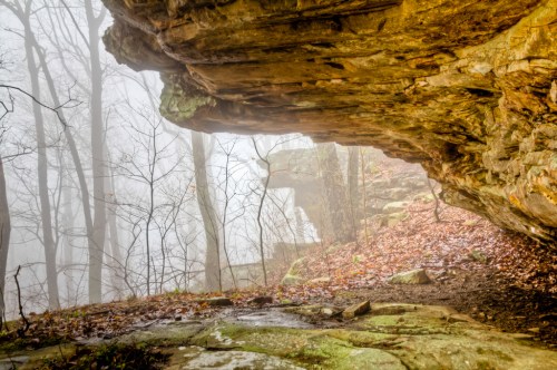 A misty forest scene with rocky overhangs and bare trees, creating a serene, mysterious atmosphere.