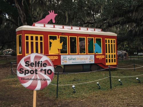 Colorful tram decorated with animal silhouettes, surrounded by festive lights, with a sign for a selfie spot nearby.