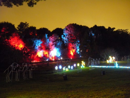 Colorful lights illuminate trees and figures in a park at night, creating a festive atmosphere.