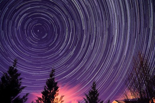 Star trails create circular patterns in the night sky, framed by silhouetted trees and a hint of colorful clouds.