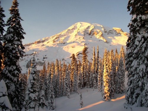 Snow-covered mountain peak bathed in golden sunlight, surrounded by tall evergreen trees. Clear blue sky above.