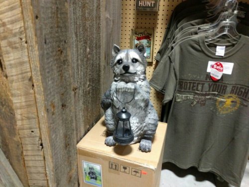 A raccoon statue holding a lantern, displayed on a box in a store with clothing items in the background.