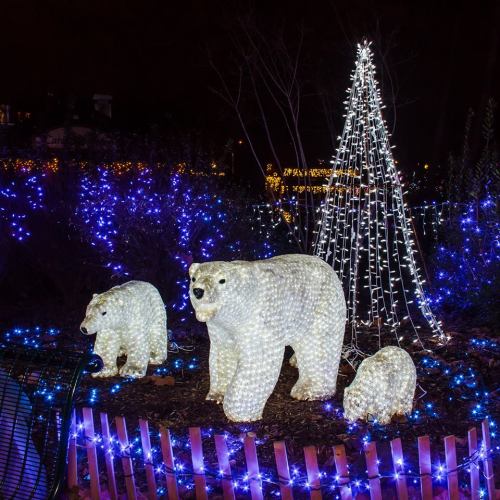 A festive display featuring illuminated polar bear sculptures and a sparkling Christmas tree surrounded by colorful lights.