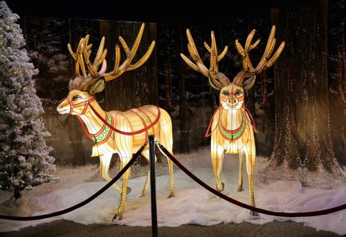 Two illuminated reindeer sculptures with antlers, set against a snowy forest backdrop, surrounded by a velvet rope.