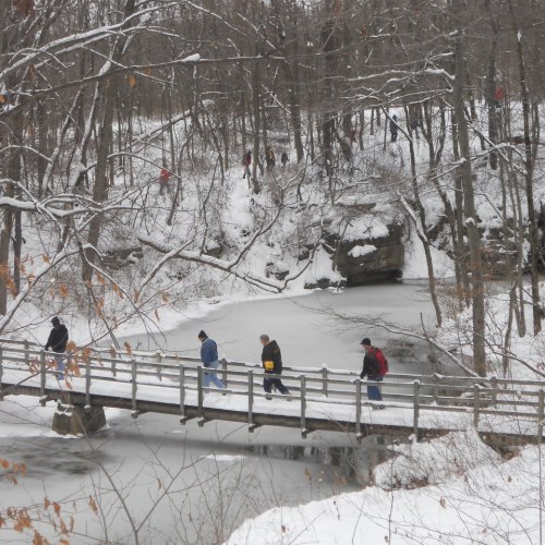 People walking across a snowy bridge over a frozen river, surrounded by trees in a winter landscape.