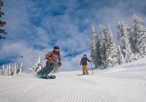 Two skiers navigate a snowy slope surrounded by tall, snow-covered trees under a blue sky with clouds.