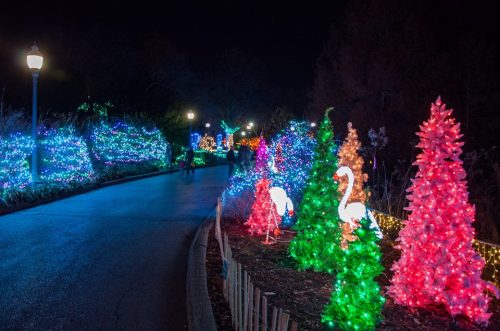 Colorful illuminated trees and decorations line a pathway at night, creating a festive holiday atmosphere.