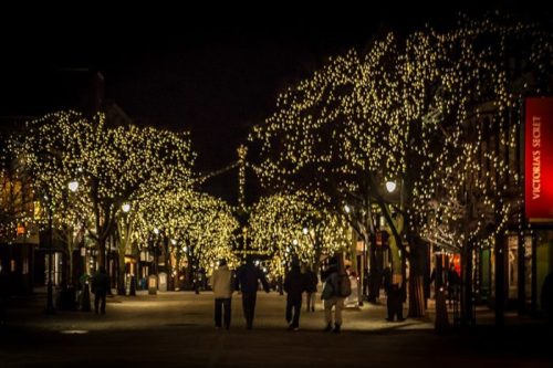 A nighttime street lined with trees adorned with twinkling lights, creating a festive atmosphere.