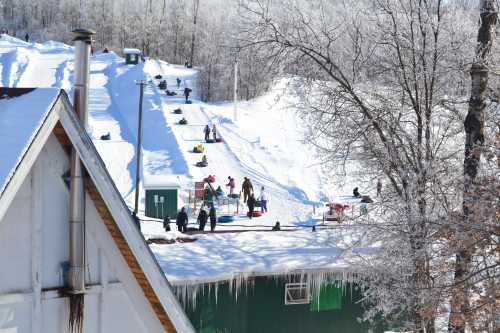 A snowy hill with people sledding, surrounded by trees and a building with icicles hanging from the roof.