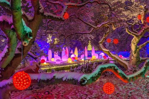 A winter scene with snow-covered trees adorned with red ornaments, colorful lights, and festive decorations in the background.