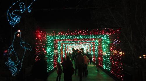 A festive walkway adorned with colorful red and green lights, with people walking through a holiday display.