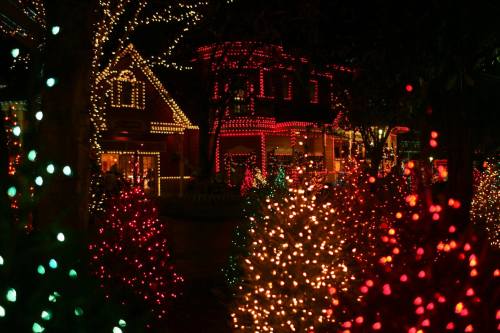 A festive scene with colorful Christmas lights adorning trees and houses, creating a warm holiday atmosphere at night.