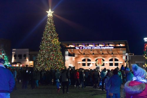 A large Christmas tree adorned with lights stands in front of a crowd at night, with a festive building in the background.