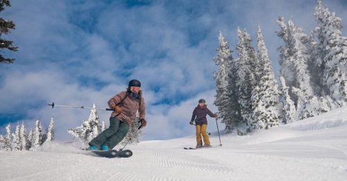 Two skiers navigate a snowy slope surrounded by tall pine trees under a blue sky with fluffy clouds.