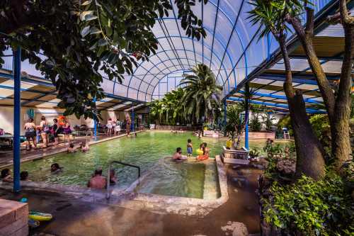 Indoor pool area with palm trees, people swimming, and relaxing in a tropical setting under a glass roof.