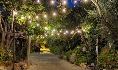 A serene pathway lined with trees and illuminated by string lights, creating a warm, inviting atmosphere at night.