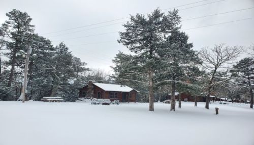 A snowy landscape featuring wooden cabins surrounded by tall trees and a picnic table in a serene winter setting.