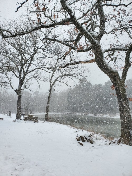 A snowy landscape with bare trees beside a river, creating a serene winter scene. Snowflakes gently fall from the sky.
