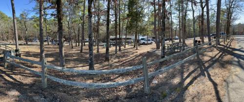A panoramic view of a wooded campsite with parked vehicles and picnic areas surrounded by trees.