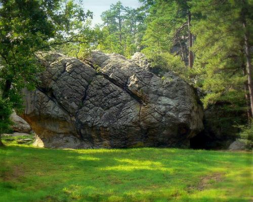 A large, textured rock surrounded by lush green grass and trees in a natural setting.