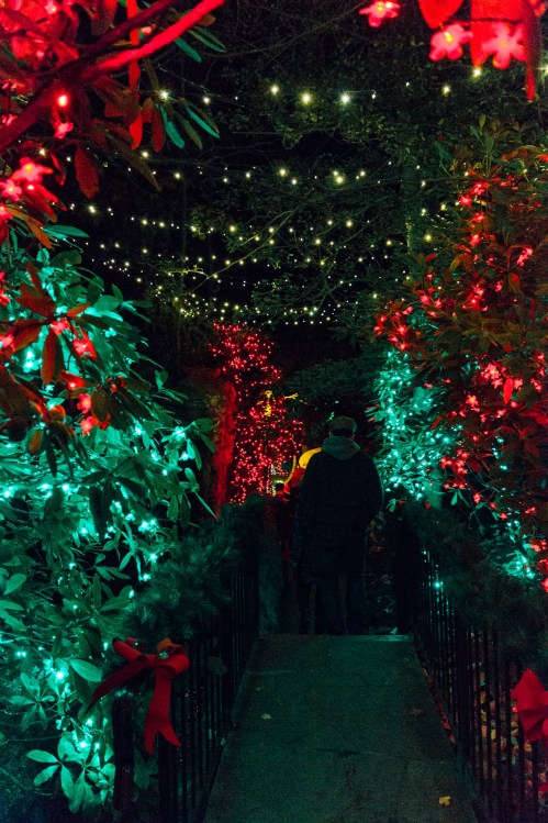 A person stands on a bridge surrounded by vibrant red and green holiday lights in a lush garden.