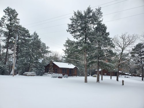 A snowy landscape featuring rustic cabins surrounded by tall pine trees under a cloudy sky.