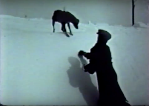 A silhouette of a person in a long coat playing in the snow with a dog on a snowy landscape.