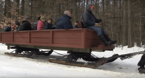 A group of people riding on a large wooden sled being pulled through a snowy forest.