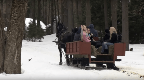 A horse-drawn wagon carries people through a snowy forest, surrounded by trees and a cozy cabin in the background.