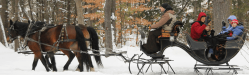 A horse-drawn sleigh carries a family through a snowy forest, with trees and winter scenery in the background.