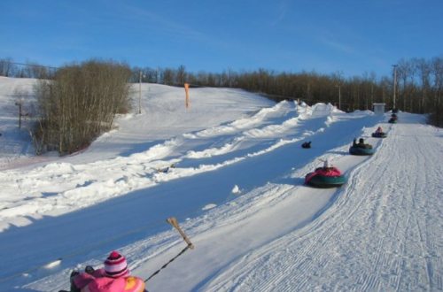 A snowy hill with people tubing down, surrounded by trees under a clear blue sky.