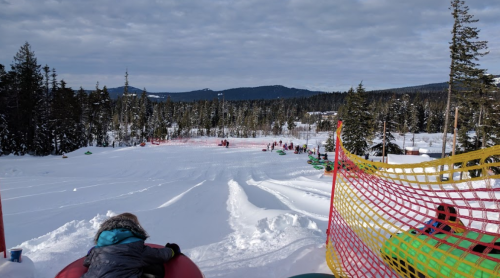 A snowy landscape with people tubing down a hill, surrounded by trees and mountains under a cloudy sky.