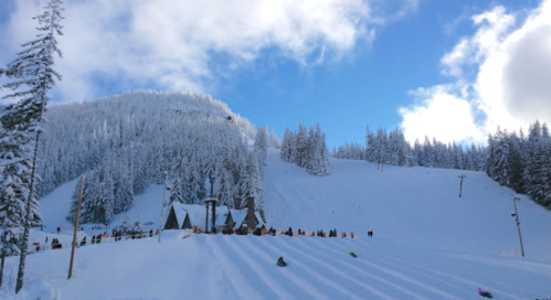 A snowy landscape with a hill, trees, and people sledding down the slope under a blue sky with clouds.