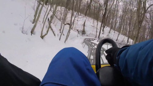 A view from a sled on a snowy track, surrounded by trees, capturing the thrill of a winter ride.