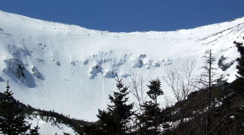 Snow-covered mountain slope under a clear blue sky, with sparse trees in the foreground.