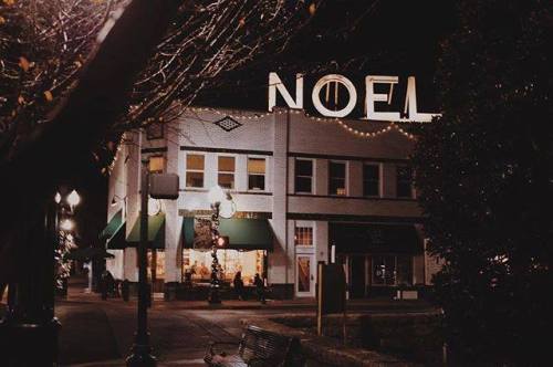 A festive building at night with "NOEL" lit up, surrounded by trees and holiday decorations.