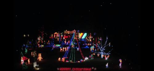 A festive display of colorful Christmas lights and decorations in a dark setting, featuring a large tree and various figures.